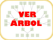 arbol2