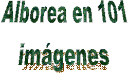 Alborea en 101
im�genes