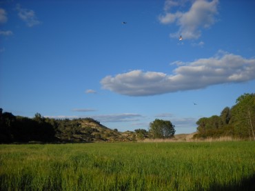 Paisaje de transición antes de alcanzar La  Ceja.