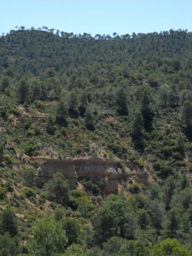 Los montes que rodean Alborea en el recorrido AB-PR 08.